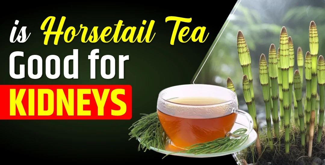 Is Horsetail Good for Kidneys?